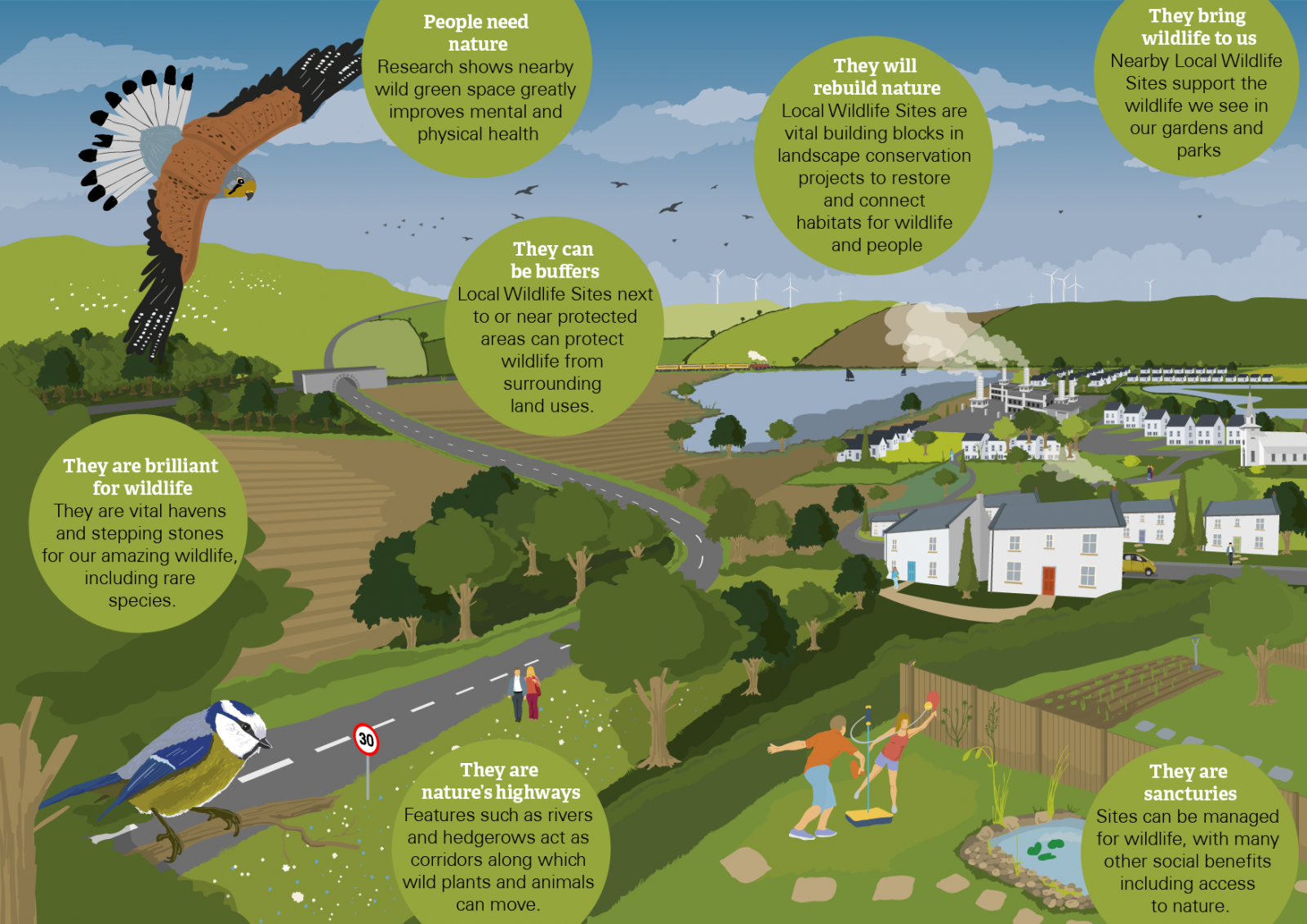 local wildlife sites and why they matter illustration