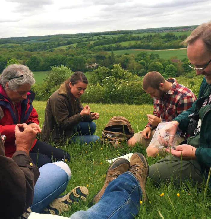 Ecology Groups Volunteers Survey