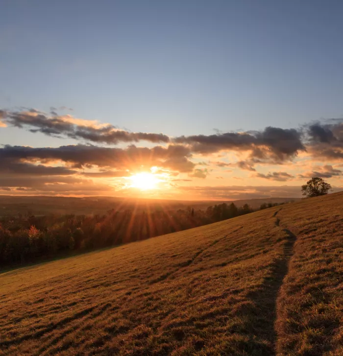 Kemsing, North Downs November Sunset - Ruth Winter