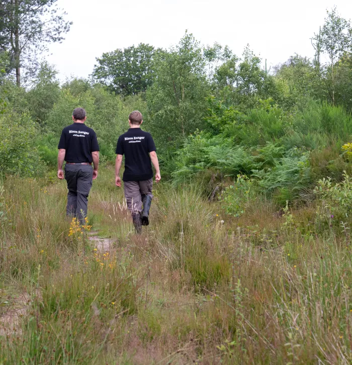 Bison rangers wearing their bison ranger shirts walking away from the camera into the woodland