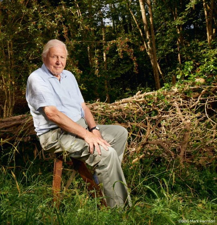 David Attenborough at Downe Bank Nature Reserve ©️BBC Mark Harrison