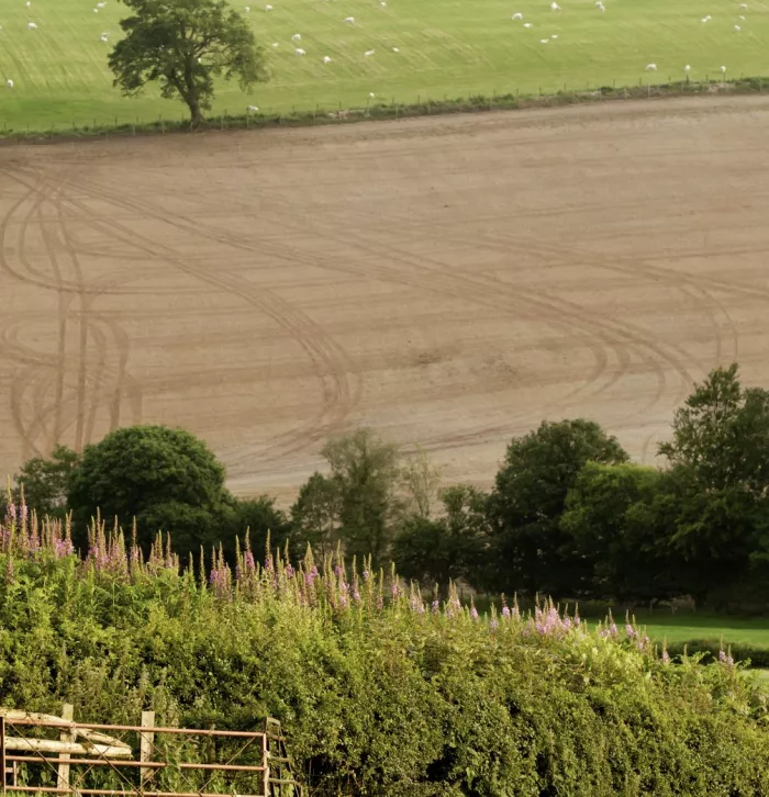 Denmark farm conservation centre - Ross Hoddinott/2020VISION