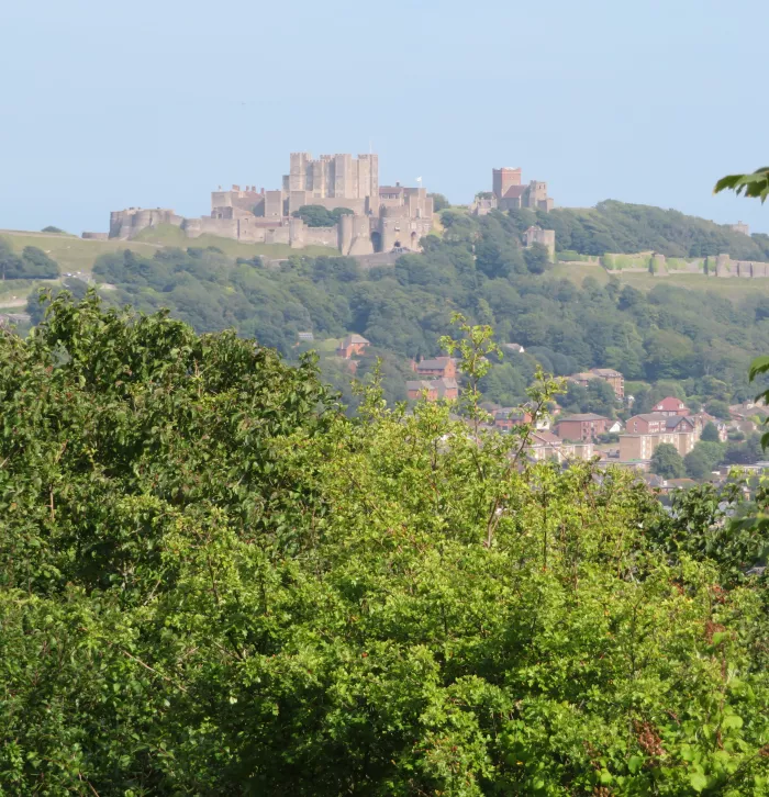 Coombe Down - Dover Castle