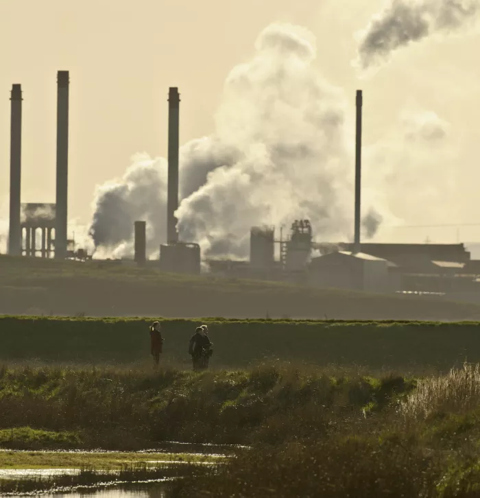 Elmley RSPB Reserve