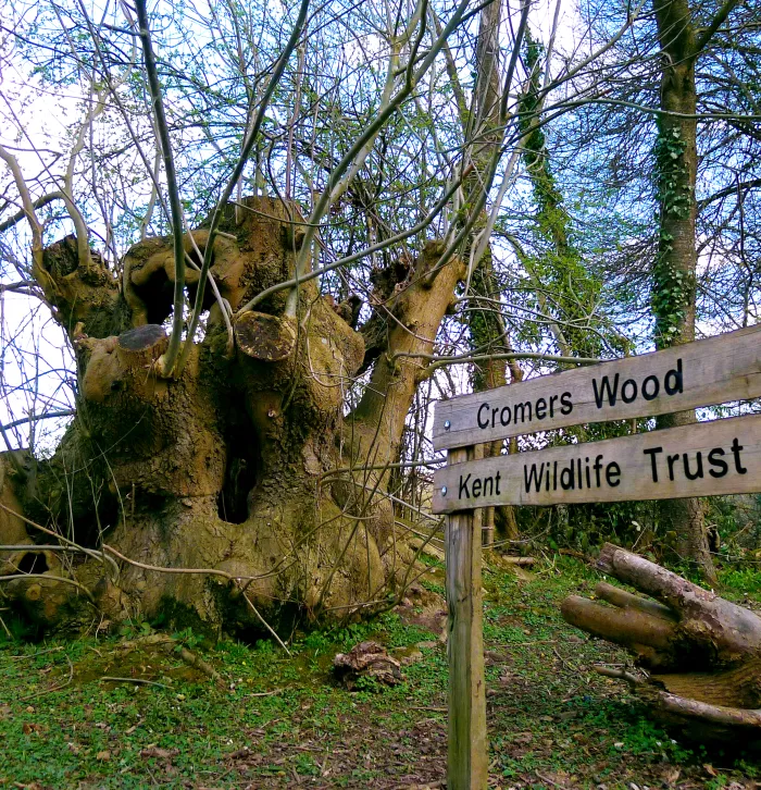 Cromers Wood welcome