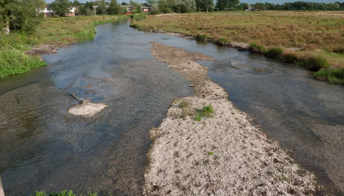 Freshwater habitat