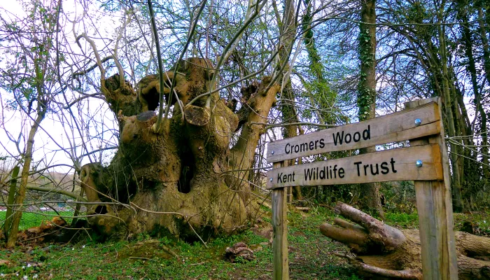 Cromers Wood Welcome