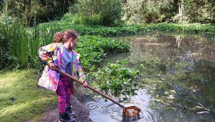 Child wearing a colourful coat dips her net into a river to find the wildlife that lives there