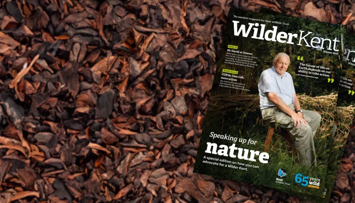 Membership banner with magazine featuring David Attenborough on the cover