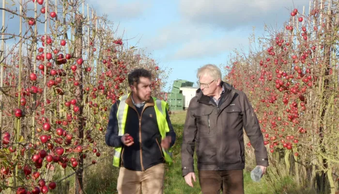 Two men in warm clothes talking while walking through an apple orchard.