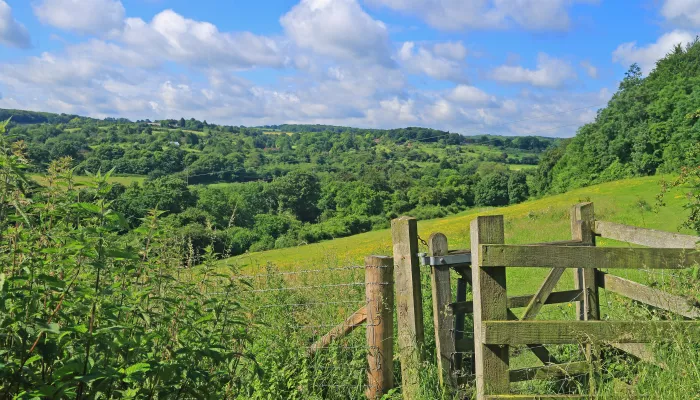 Queendown Warren landscape shot showing a gate in the foreground and a lovely backdrop of trees and blue sky in the background