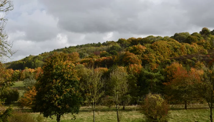 Heather Corrie Vale