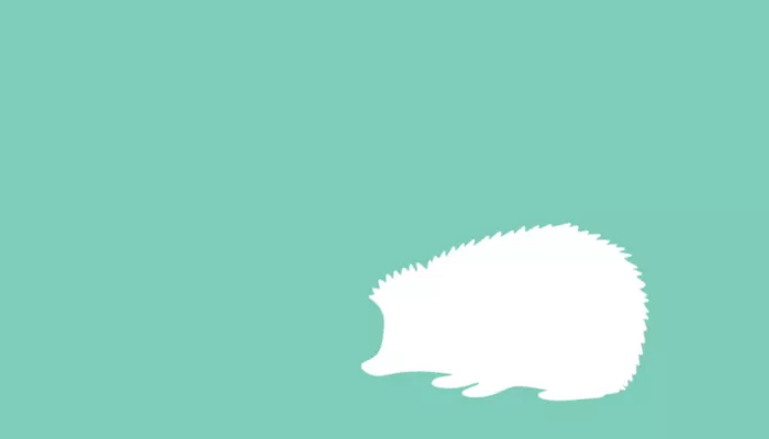 hedgehog illustration