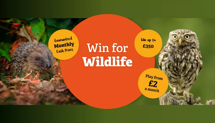 Win for Wildlife KWT lottery up to £350