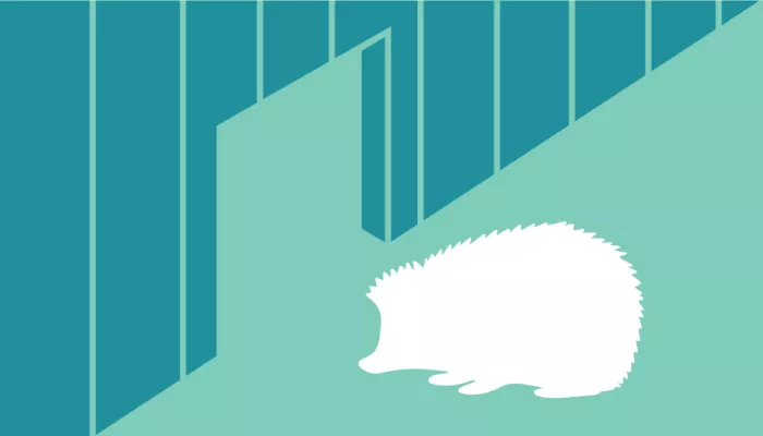 hedgehog highway illustration