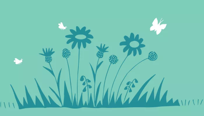 wild patch or mini meadow illustration