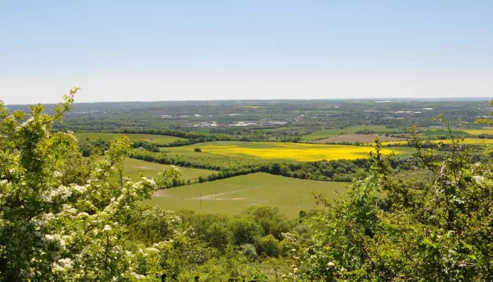 A view across Blue Bell Hill, with trees framing either side.