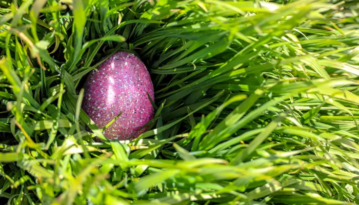 Easter egg on grass