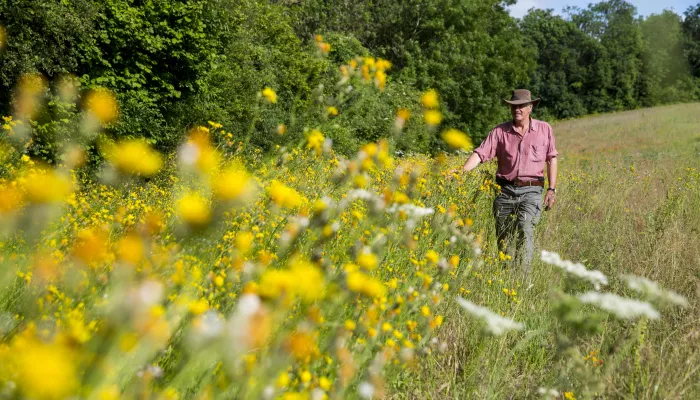 Castle Farm part of the darent valley landscape recovery project