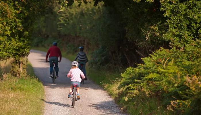 Family cycling outdoors