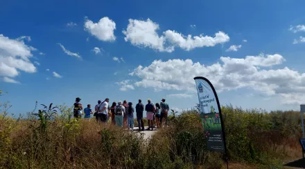 walkers on a guided walk at pegwell bay in the sun