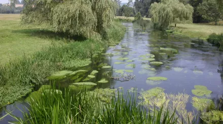 Great Stour Godmersham