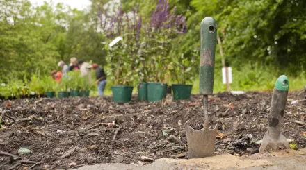 Gardening Katrina Martin