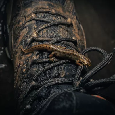 People in nature category winner - Luke Pembroke, 'A Newt on my Boot'