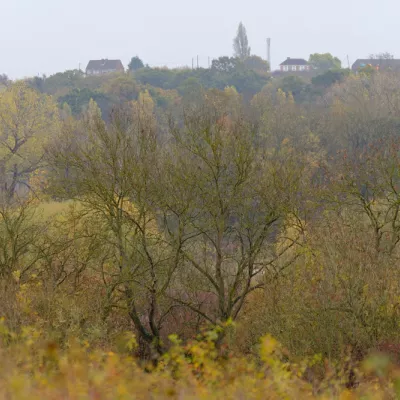 Lodge Hill in Autumn