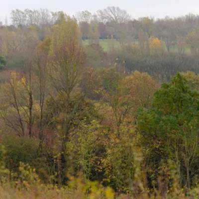 Lodge hill in autumn