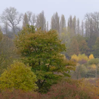 Lodge hill in autumn.