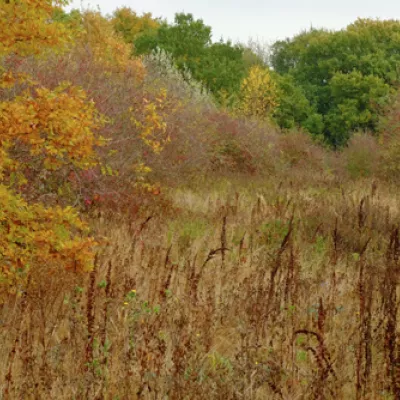 Lodge hill in autumn.