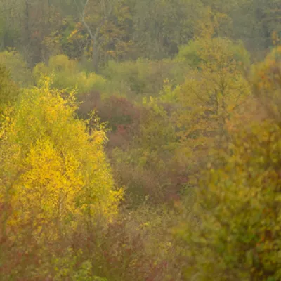 Lodge hill in autumn.