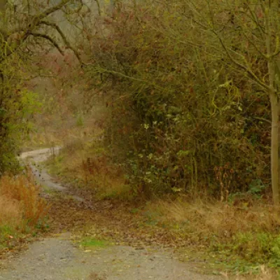 Lodge hill in autumn.