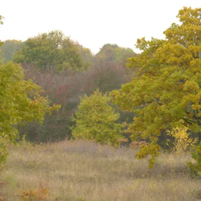 Lodge hill in autumn.