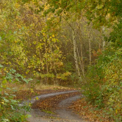 Lodge hill in autumn.