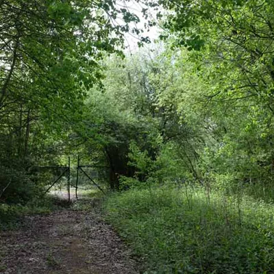 Spring view of Lodge Hill