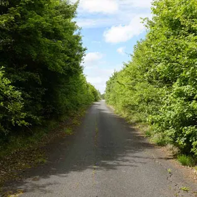 Nature encroaches on a road at Lodge Hill