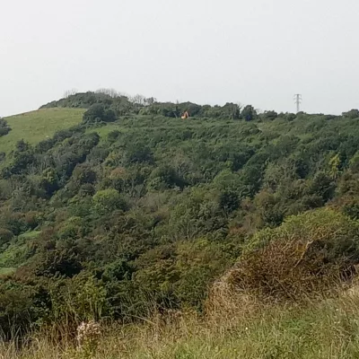 Whinless down before scrub removal, thick with vegetation.