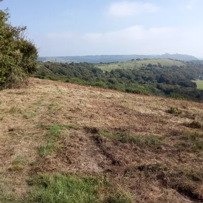 Whinless down before scrub removal with the ground opened up and clear.