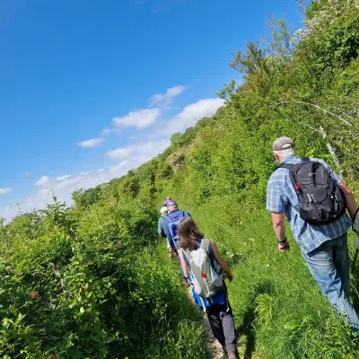 In May, the volunteer group took a break from birch pulling to go on a 'field trip' to KWT Fackenden Down, a chalk grassland, where we looked for wildflowers, and tried out netting and ID'ing butterflies.