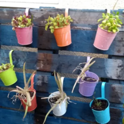 Hanging pots on a painted pallet