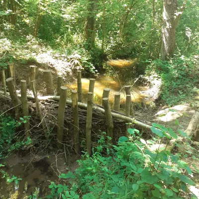 Leaky dams at the Blean