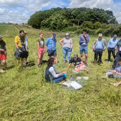 Dung beetle safari