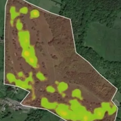 Heat map A showing cattle huddled in the wooded area at Heather Corrie Vale.