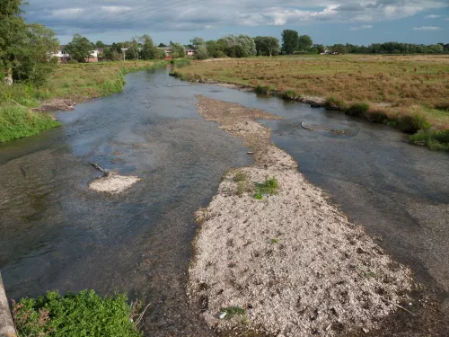 Freshwater habitat