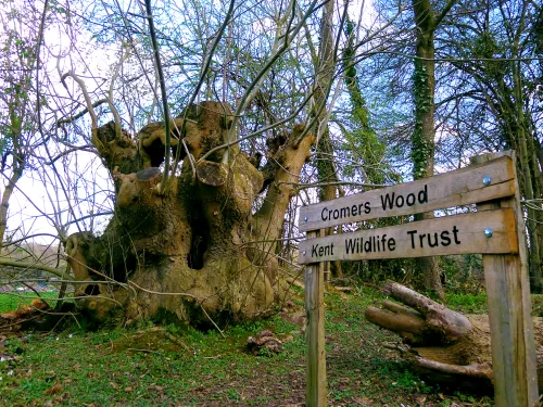 Cromers Wood Welcome