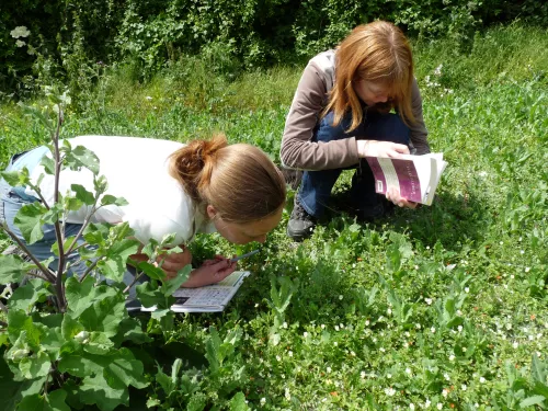 Wildlife Study Day