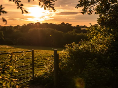 Sunset in Canterbury - Danni Thompson