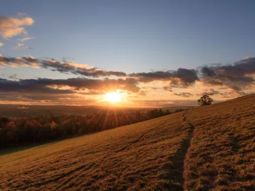 Kemsing, North Downs November Sunset - Ruth Winter